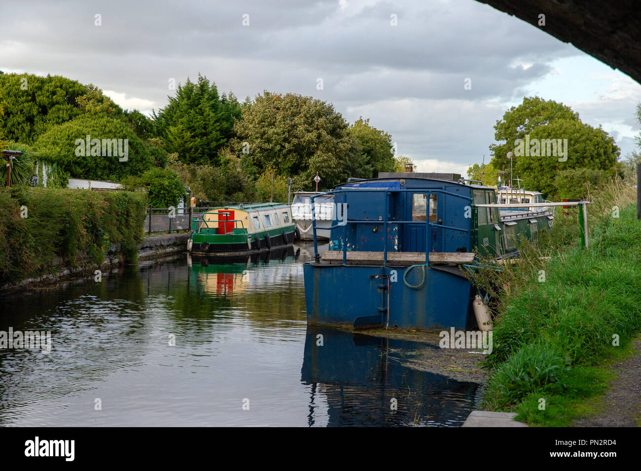 Barche ancorate presso il Grand Canal in Hazelhatch usato da persone come un alloggio. Hazelhatch, sud della contea di Dublino, Irlanda Foto Stock
