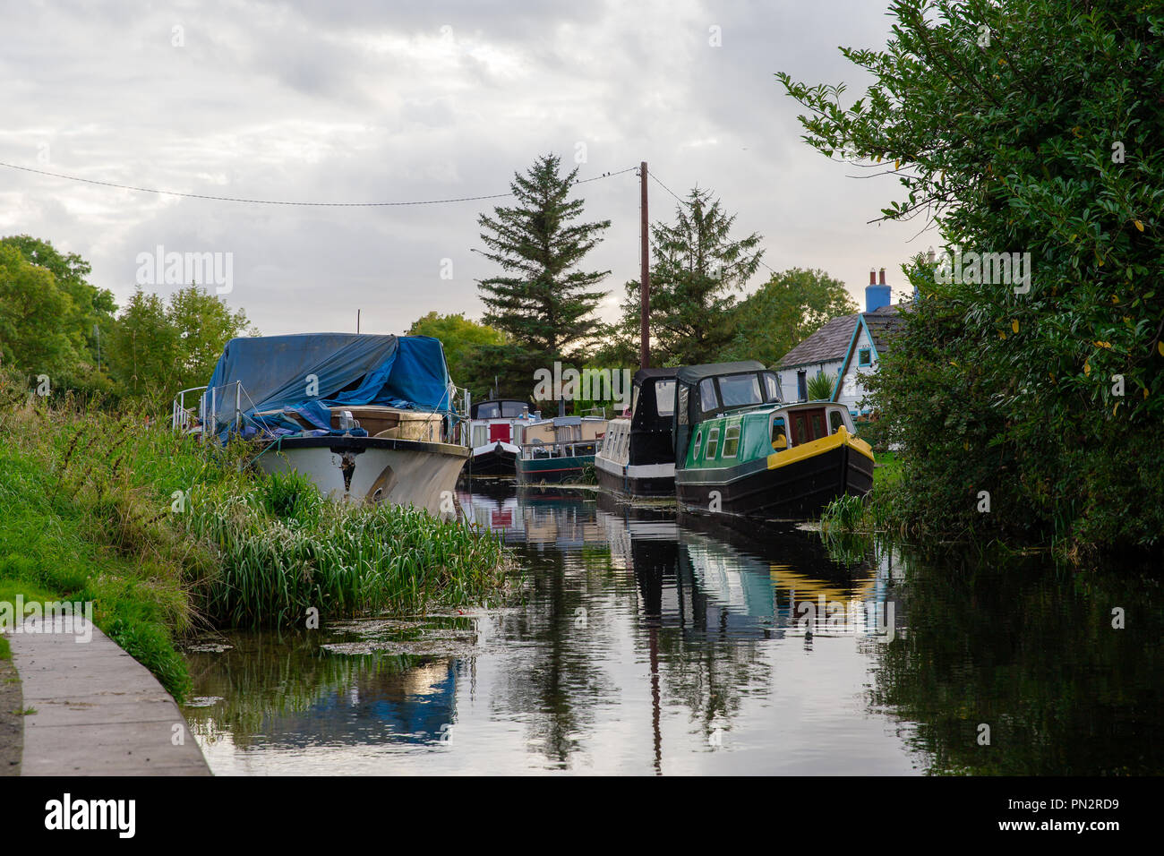 Barche ancorate presso il Grand Canal in Hazelhatch usato da persone come un alloggio. Hazelhatch, sud della contea di Dublino, Irlanda Foto Stock