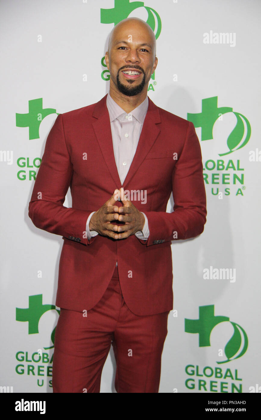 Comune 02/18/2015 La dodicesima edizione Global Green USA Pre Oscar partito svoltasi a Avalon Hollywood in Hollywood, CA Foto di Izumi Hasegawa / HNW / PictureLux Foto Stock