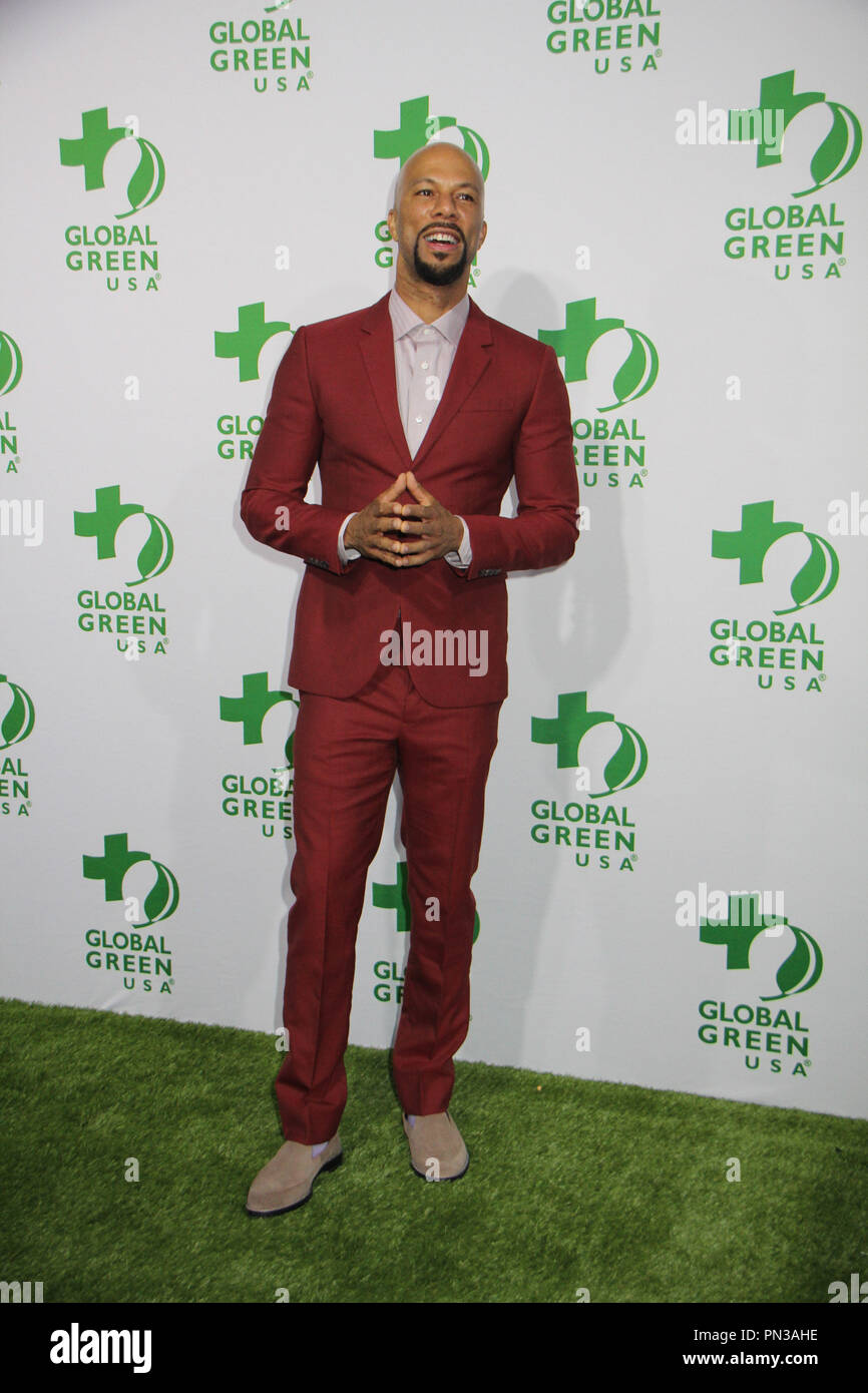 Comune 02/18/2015 La dodicesima edizione Global Green USA Pre Oscar partito svoltasi a Avalon Hollywood in Hollywood, CA Foto di Izumi Hasegawa / HNW / PictureLux Foto Stock