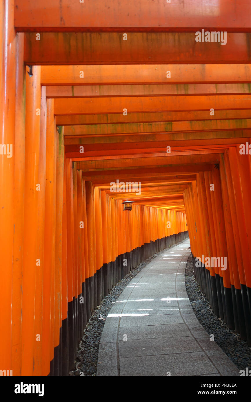 Percorso tra red torii gates, con lanterna, Fushimi Inari shrine, Kyoto, Giappone. N. PR Foto Stock