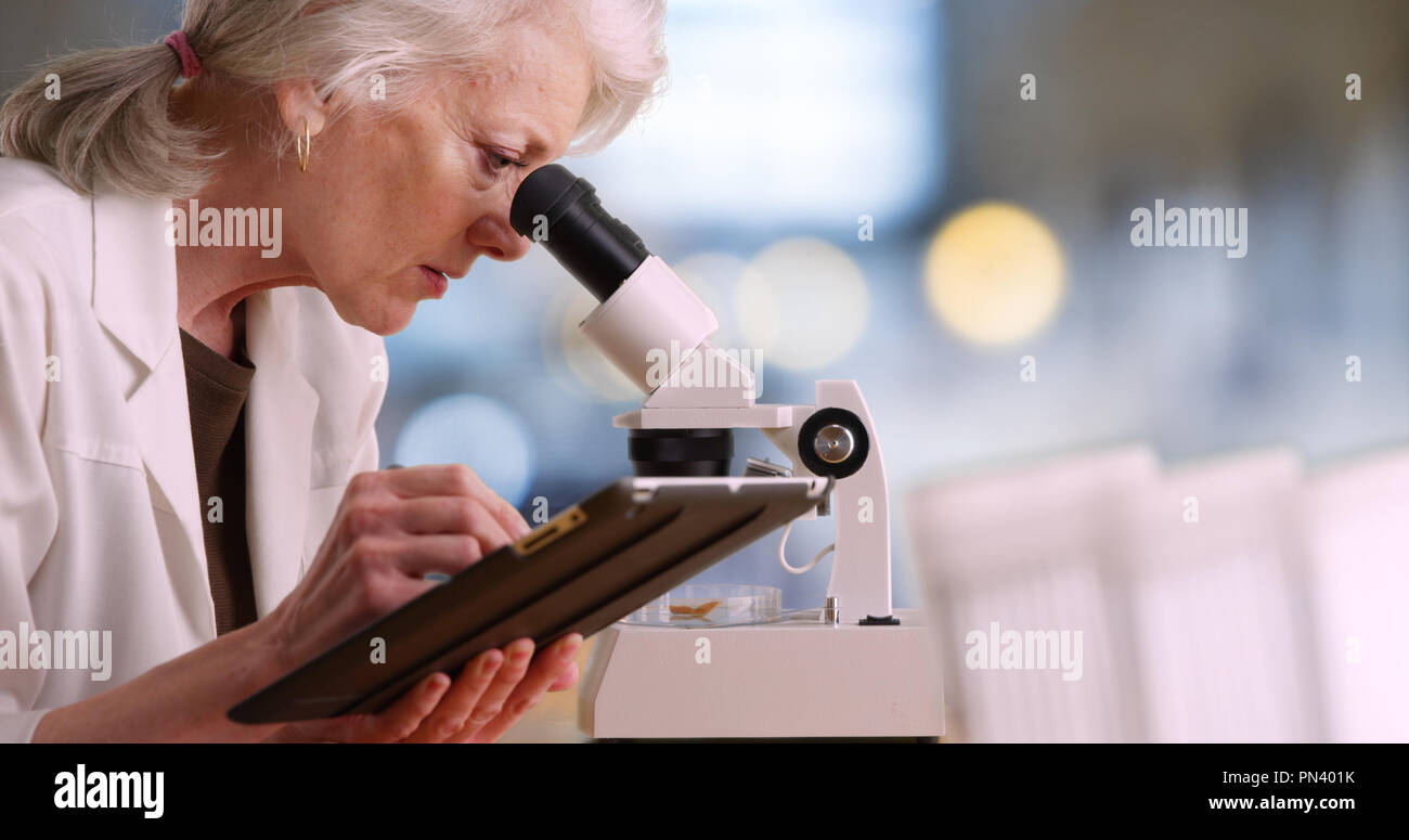 Femmina matura scienziato prende appunti su tablet PC e utilizza il microscopio Foto Stock