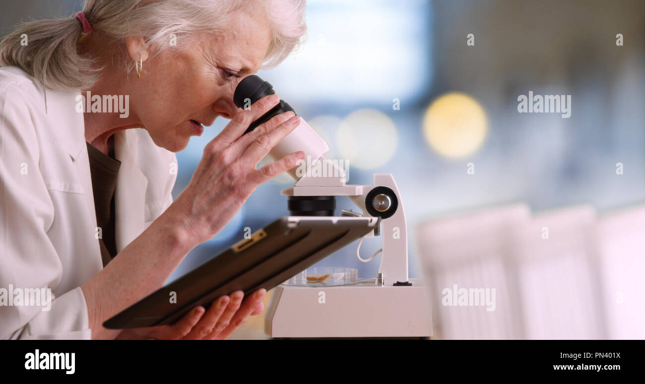 Femmina matura scienziato prende appunti su tablet PC e utilizza il microscopio Foto Stock