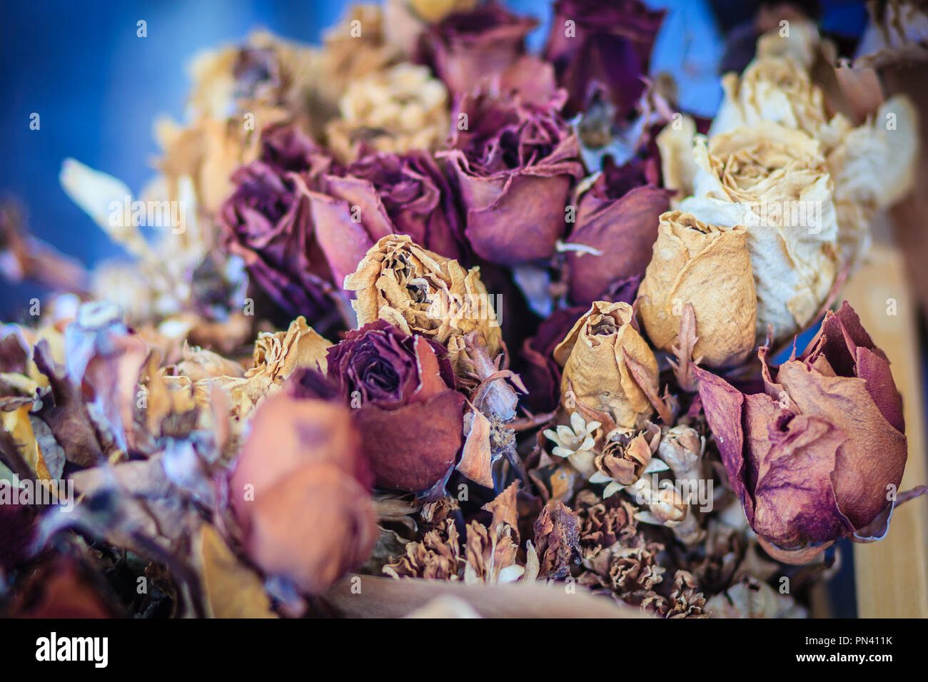Essiccato wedding rose bouquet di fiori sullo sfondo. Close up bouquet di essiccato rose appassite. Foto Stock