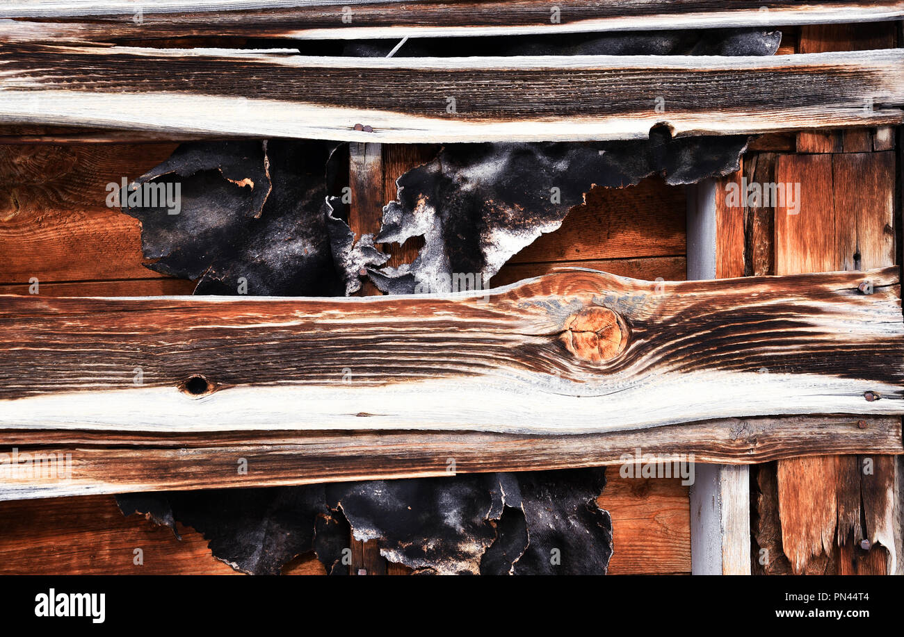 Vista dettagliata del deterioramento di una parete in legno con esposti impeci carta Foto Stock