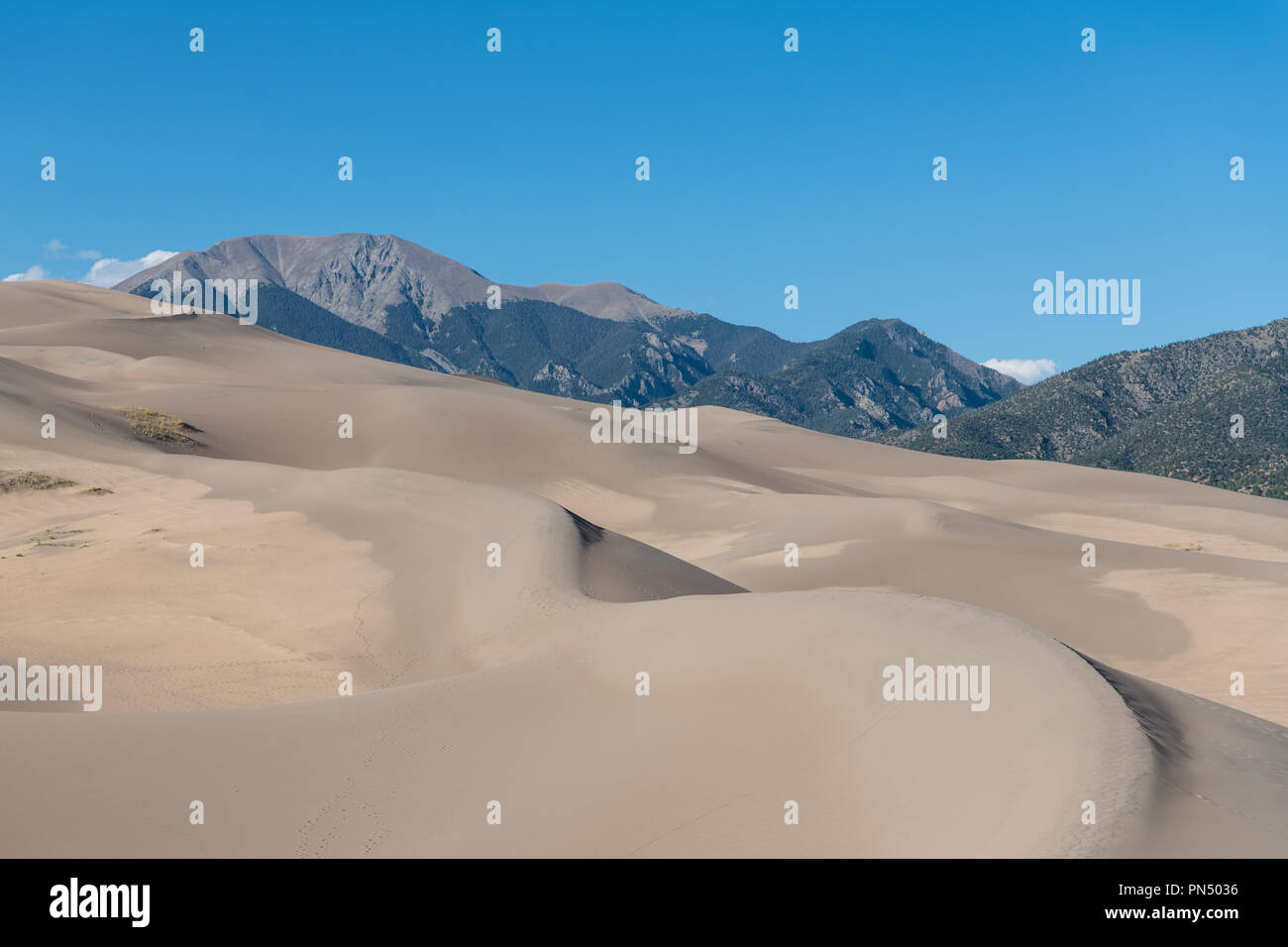 Vasto paesaggio di dune di piegarsi verso le montagne rocciose in grandi dune di sabbia del Parco Nazionale, Colorado Foto Stock