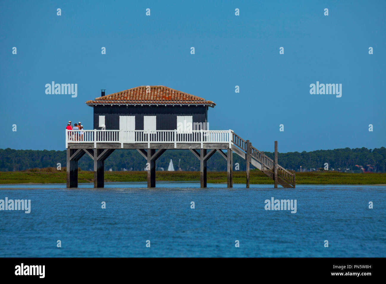 Andernos-les-Bains (sud-ovest della Francia): sito della pila delle abitazioni, "Ile aux Oiseaux" (Bird's Island), nella baia di Arcachon (non disponibile per postc Foto Stock