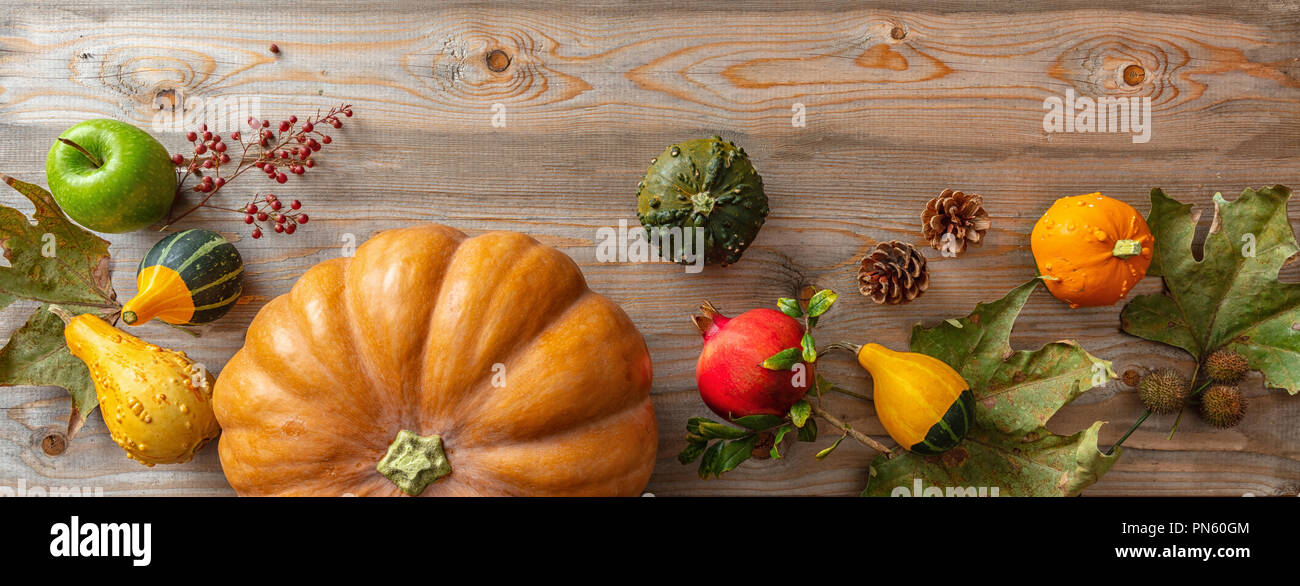 Concetto di ringraziamento. Zucche colorate, frutti e foglie di autunno sul legno rustico sfondo, banner, vista dall'alto Foto Stock