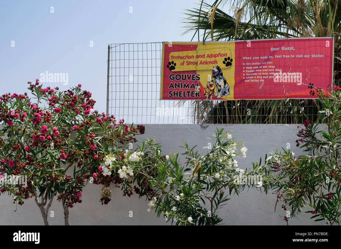 Creta, Greece-July 09, 2018: Banner di Gouves animal shelter che dice "Protezione e adattamento di animali randagi'. Foto Stock
