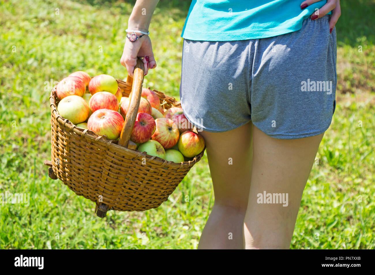 Ragazza giovane con un cesto di mele in giardino Foto Stock