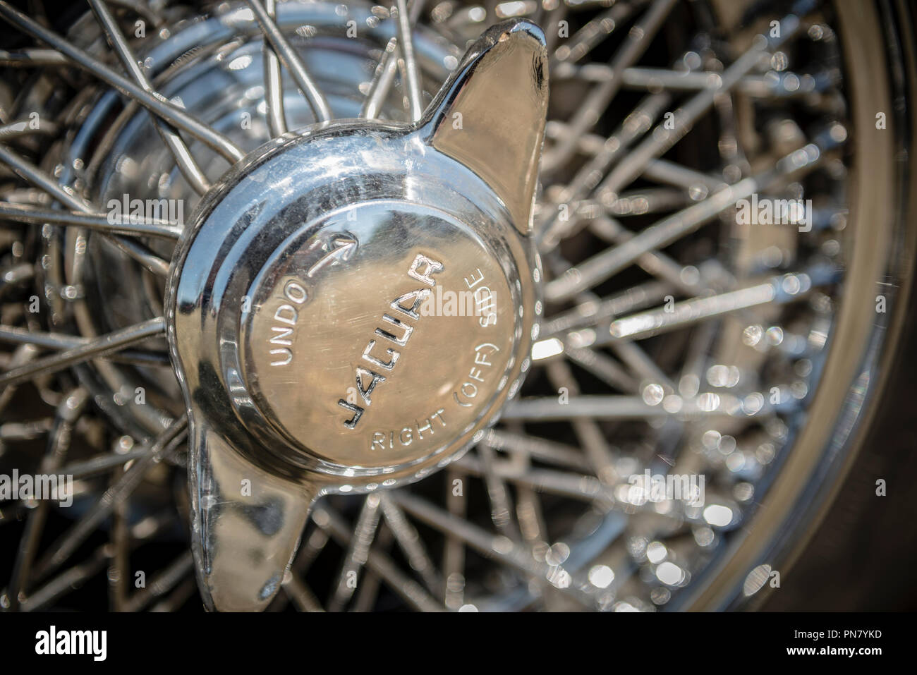 Jaguar ruota a raggi cap Foto Stock