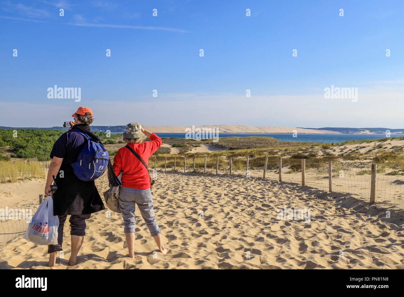 Francia, Gironde, Cote d'Argent, Parc naturel marin du Bassin d'Arcachon (Arcachon Bay Marine Parco Naturale), Lege Cap Ferret, modo a La Pointe Spiaggia Foto Stock