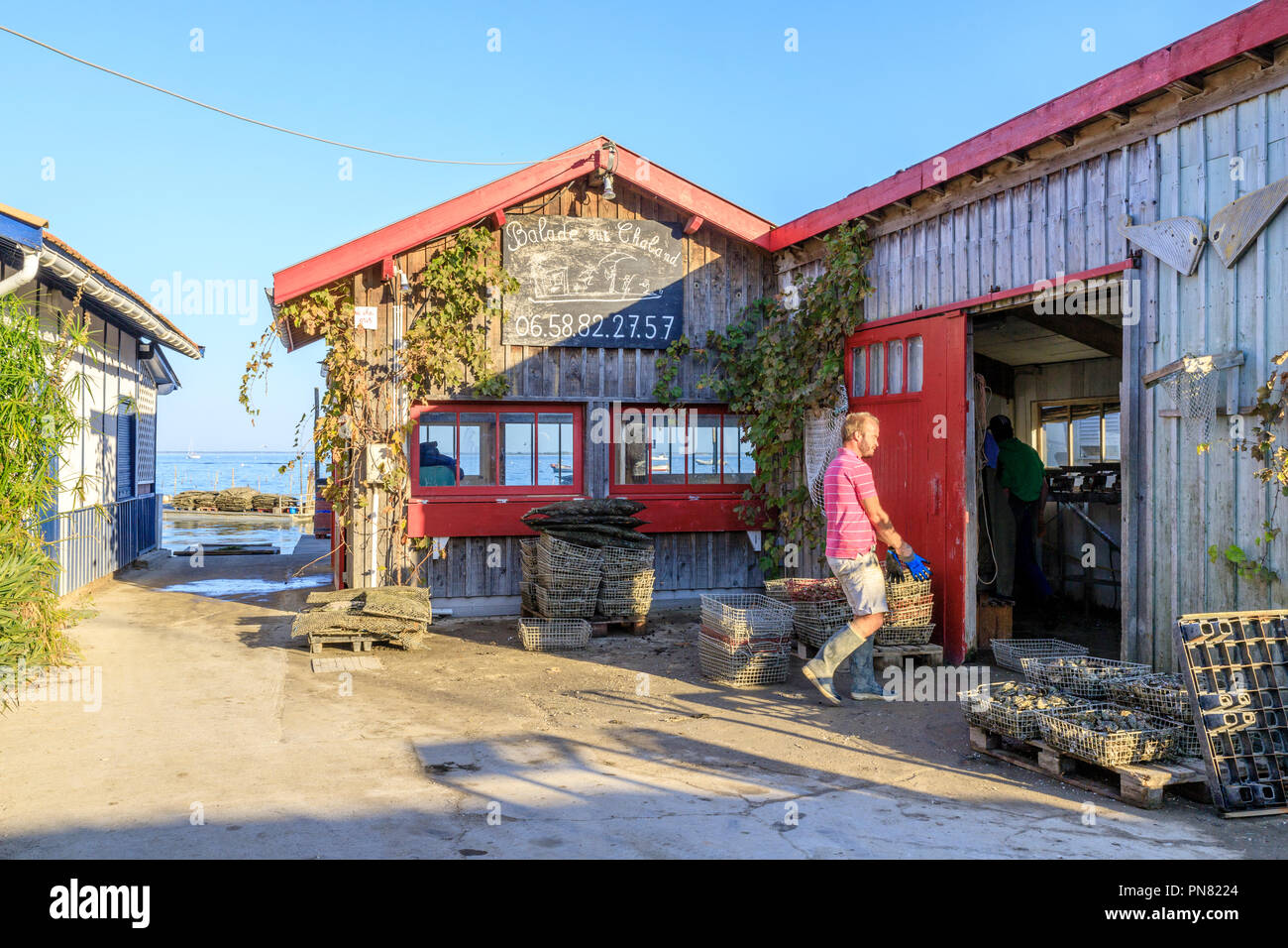 Francia, Gironde, Cote d'Argent, Parc naturel marin du Bassin d'Arcachon (Arcachon Bay Marine Parco Naturale), Lege Cap Ferret, ostricoltura villaggio di Foto Stock