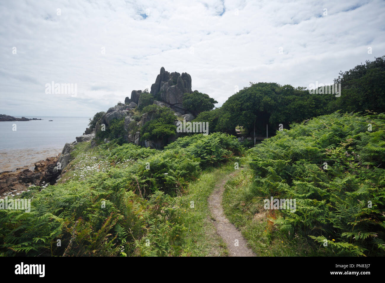 Sentiero vicino a punta lunga. St Agnes. Isole Scilly. La Cornovaglia. Regno Unito. Foto Stock