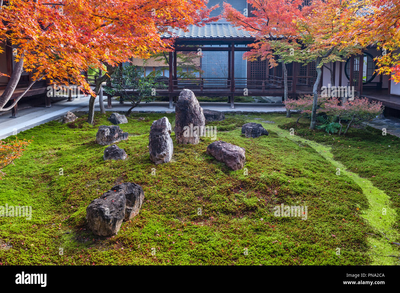 Colore di autunno in Kennin-ji il tempio zen (fondata nel 1202), Higashiyama, Kyoto, Giappone. Il moderno Cho"on-tei (giardino giardino del suono del mare, 2006) Foto Stock