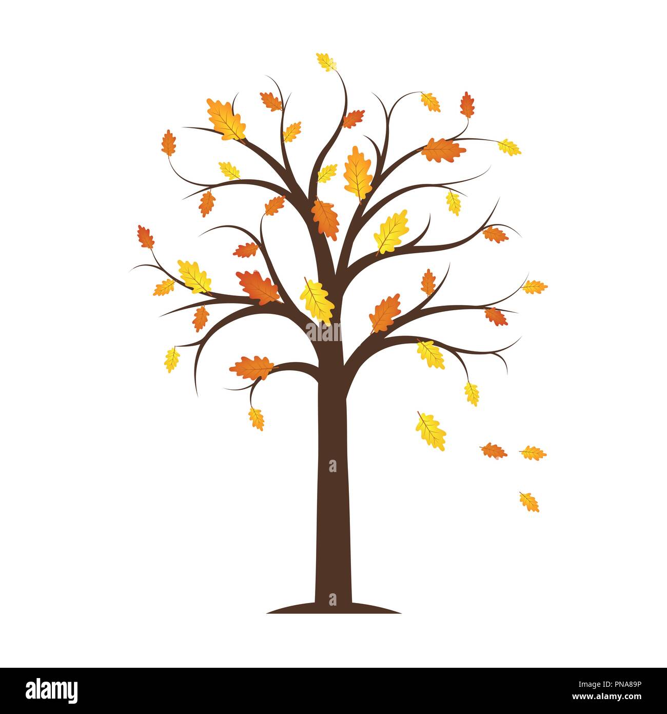 Autumn Tree con giallo e arancione caduta foglie isolate su uno sfondo bianco illustrazione vettoriale EPS10 Illustrazione Vettoriale