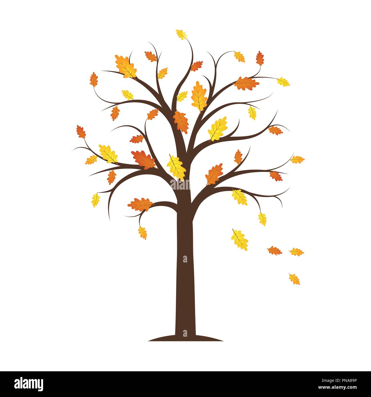 Autumn Tree con giallo e arancione caduta foglie isolate su uno sfondo bianco illustrazione vettoriale EPS10 Illustrazione Vettoriale Autumn Tree con giallo e arancione caduta foglie isolate su uno sfondo bianco illustrazione vettoriale EPS10 Illustrazione Vettoriale