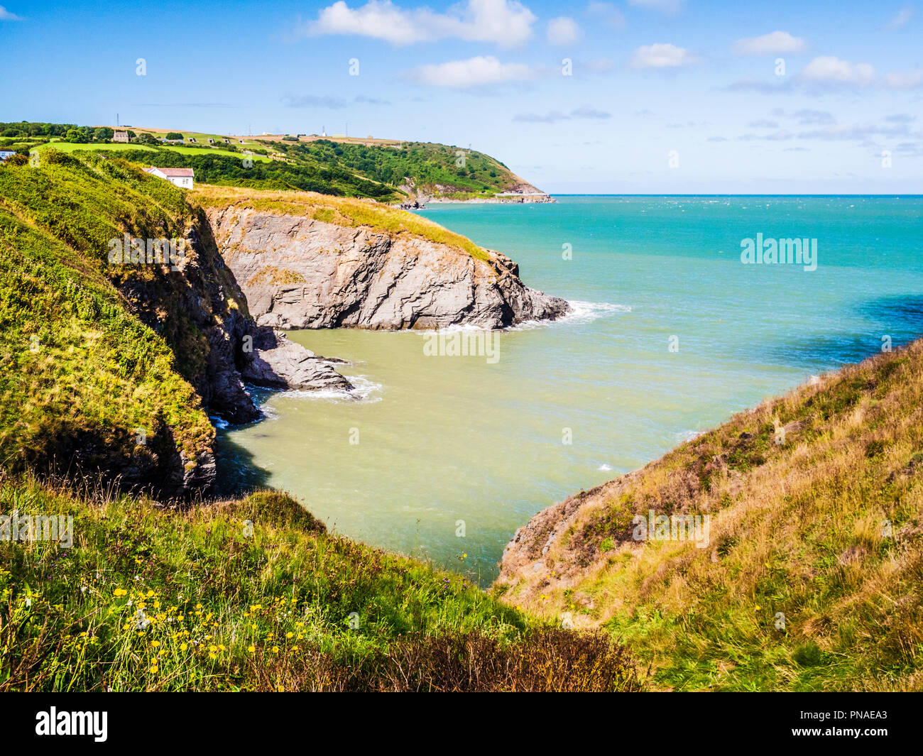 La vista dal sentiero costiero guardando verso Aberporth sulla costa gallese in Ceredigion. Foto Stock