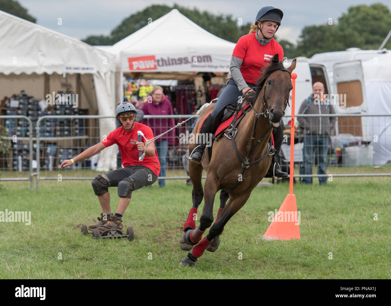 Cheshire Game & Country Fair 2018 - Pensione cavalli Foto Stock