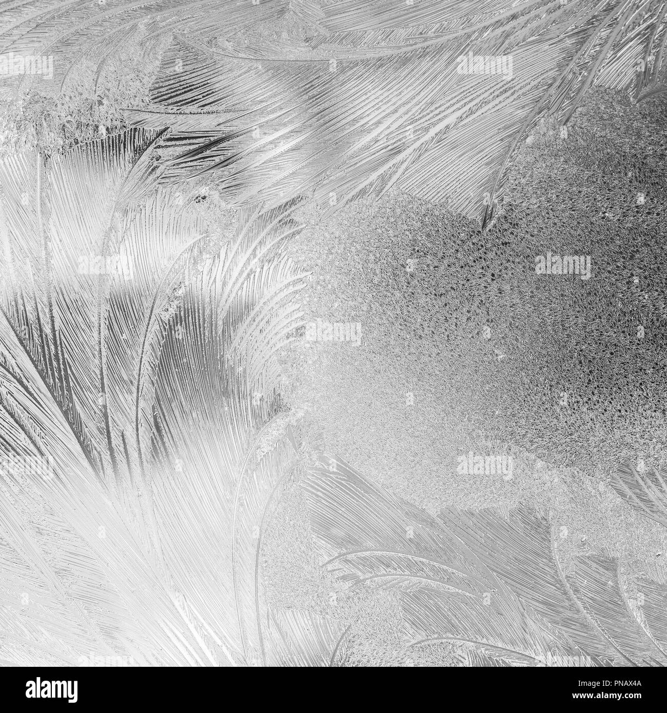 Pattern sul smerigliato finestra invernale Foto Stock