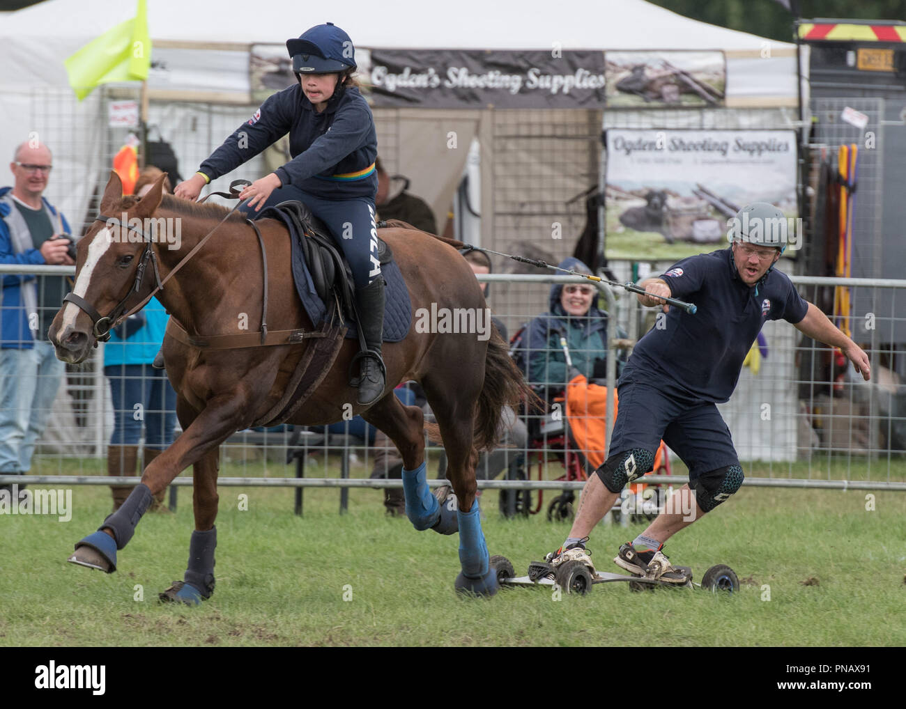 Cheshire Game & Country Fair 2018 - Pensione cavalli Foto Stock