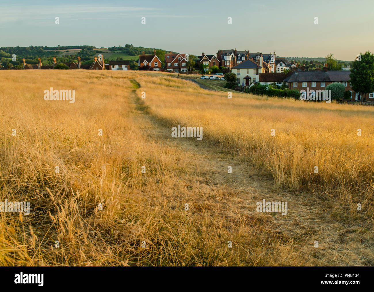 Dorking, Surrey, Regno Unito - una vista su Cotmandene, uno spazio erboso vicino al centro della città Foto Stock