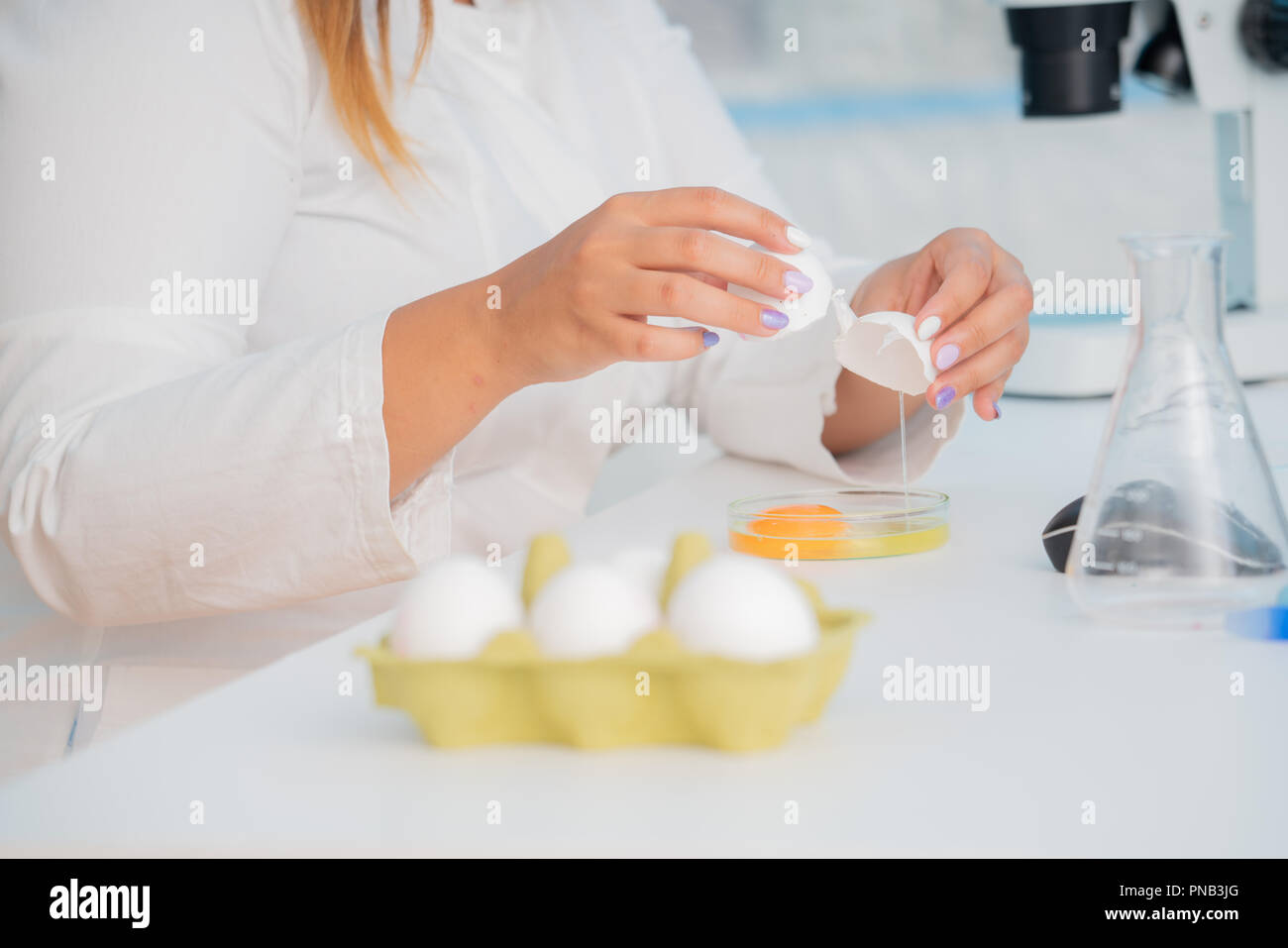 Uova in qualità di ispezione di laboratorio Foto Stock