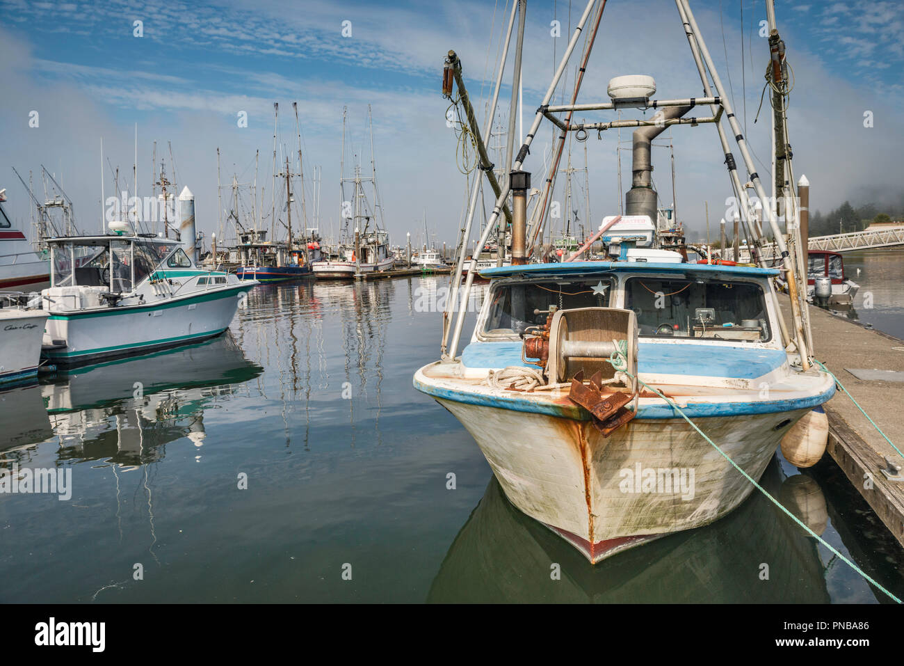 Barche da pesca in Makah Marina, Porto di Neah Bay, Makah Indian Reservation, Penisola Olimpica, nello stato di Washington, USA Foto Stock