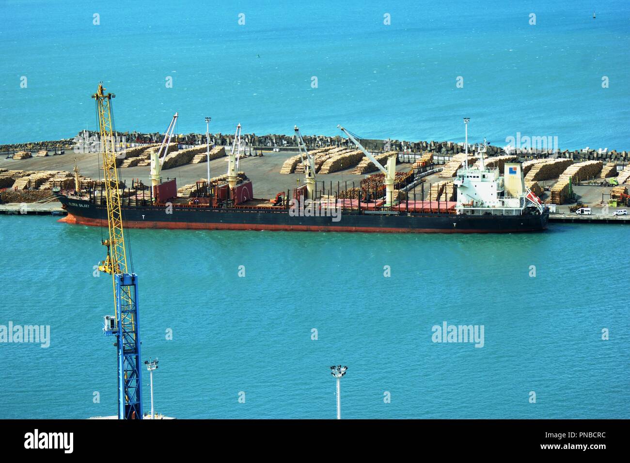 Portarinfuse Gloria Galaxy ormeggiato al Porto di Napier, Nuova Zelanda Foto Stock