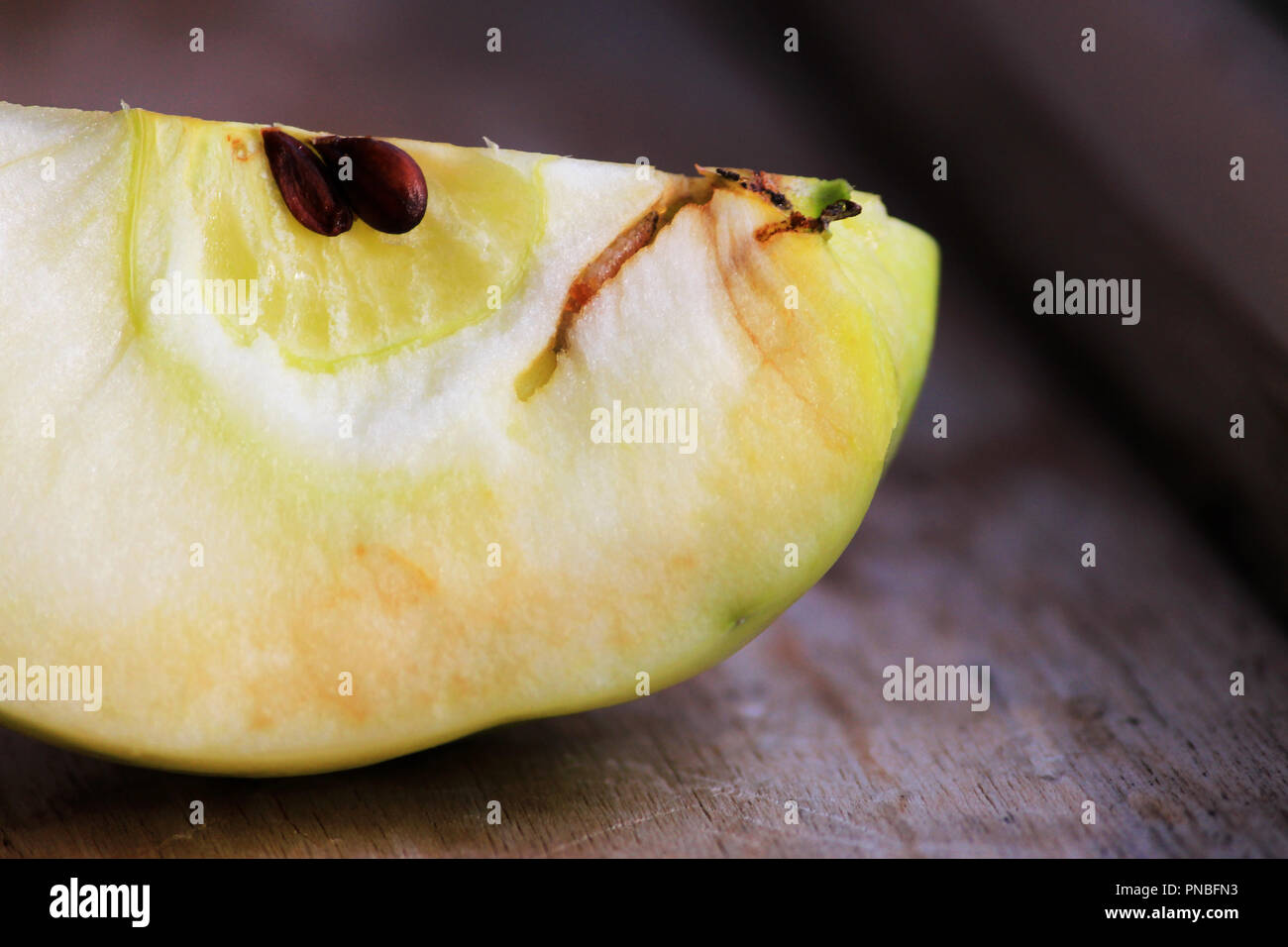 Una traccia di apple worms in apple. fonte di infezione di apple da parte del marciume bruno Monilia fructigena stampo sulla pelle di un marciume Foto Stock