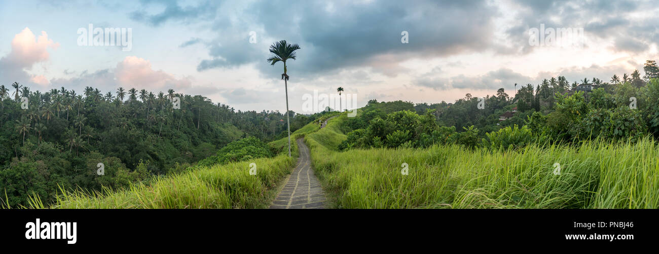 Sentiero escursionistico, lastricato sentiero attraverso la vegetazione tropicale, Campuhan Ridge a piedi, Bukit Campuhan Tjampuhan, la collina sacra, Ubud, Bali Foto Stock