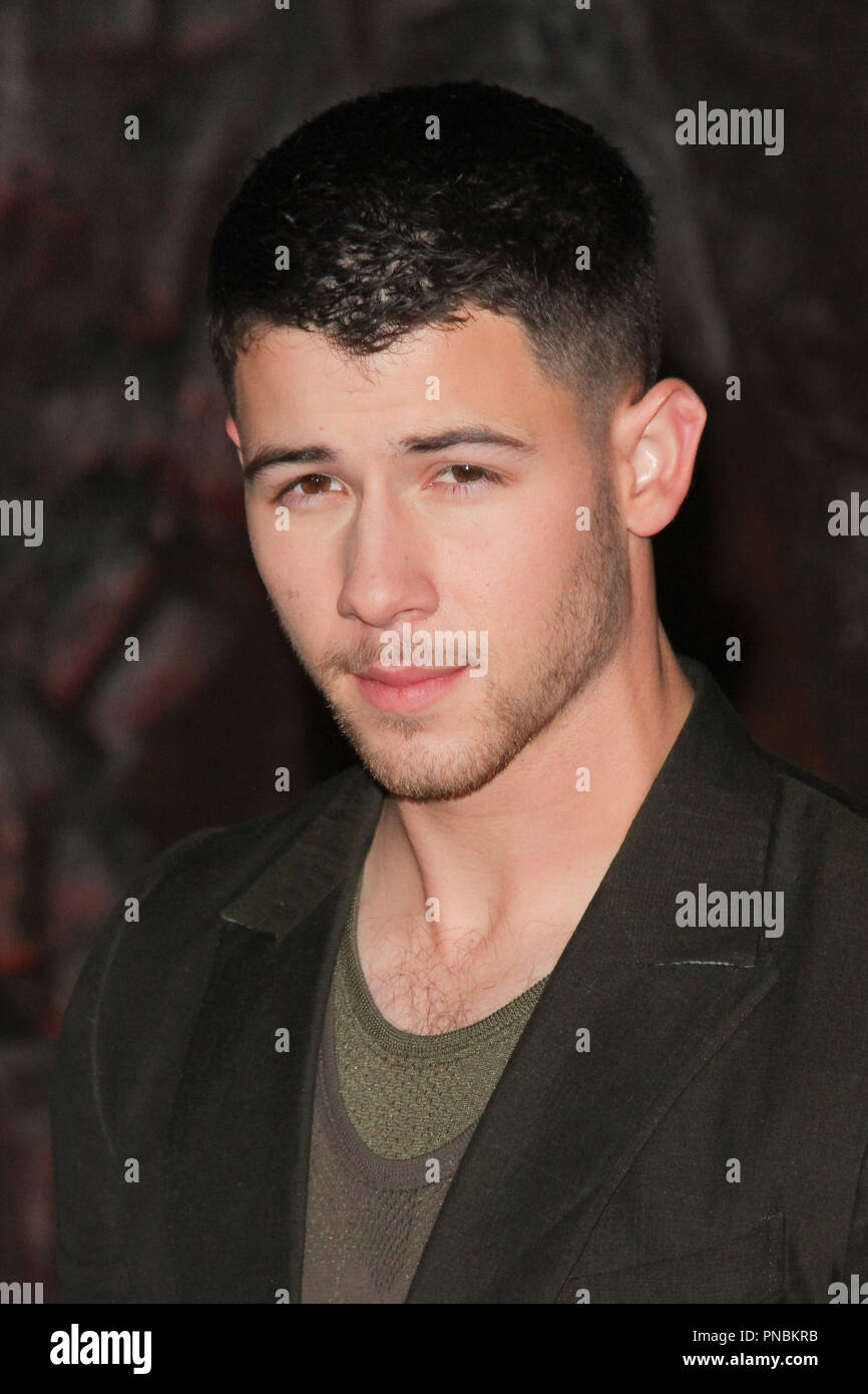 Nick Jonas alla premiere di Columbia Pictures' 'Jumanji: Welcome to the Jungle" tenutasi presso la leva TCL Teatro Cinese a Hollywood, CA, Dicembre11, 2017. Foto di Giuseppe Martinez / PictureLux Foto Stock
