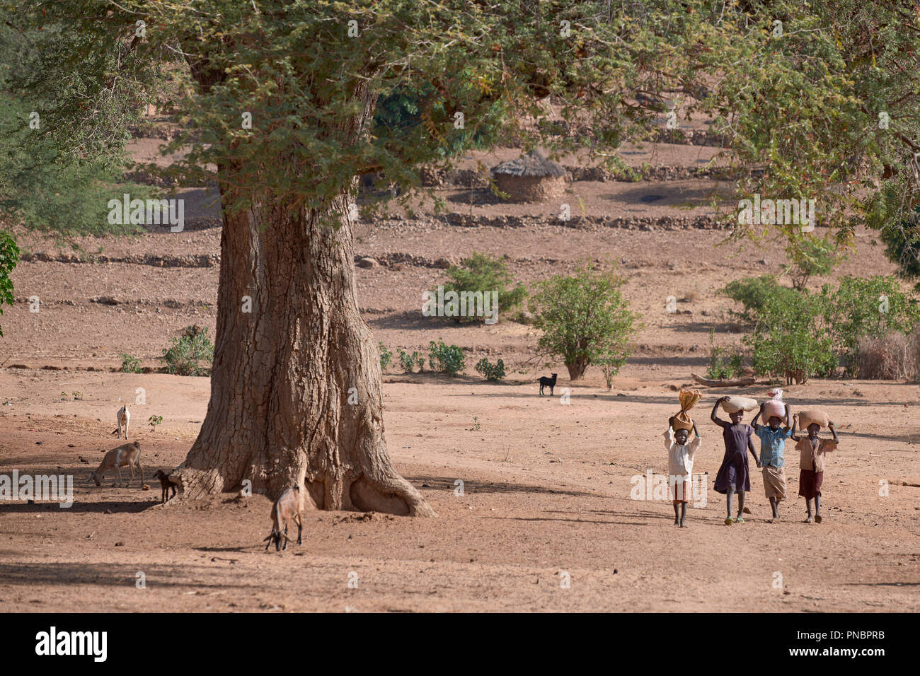 I bambini vedere a piedi in Kauda. Un villaggio nella regione dei monti Nuba del Sudan che viene controllata mediante la liberazione del popolo sudanese Movement-North ed è spesso attaccati dai militari del Sudan. Foto Stock