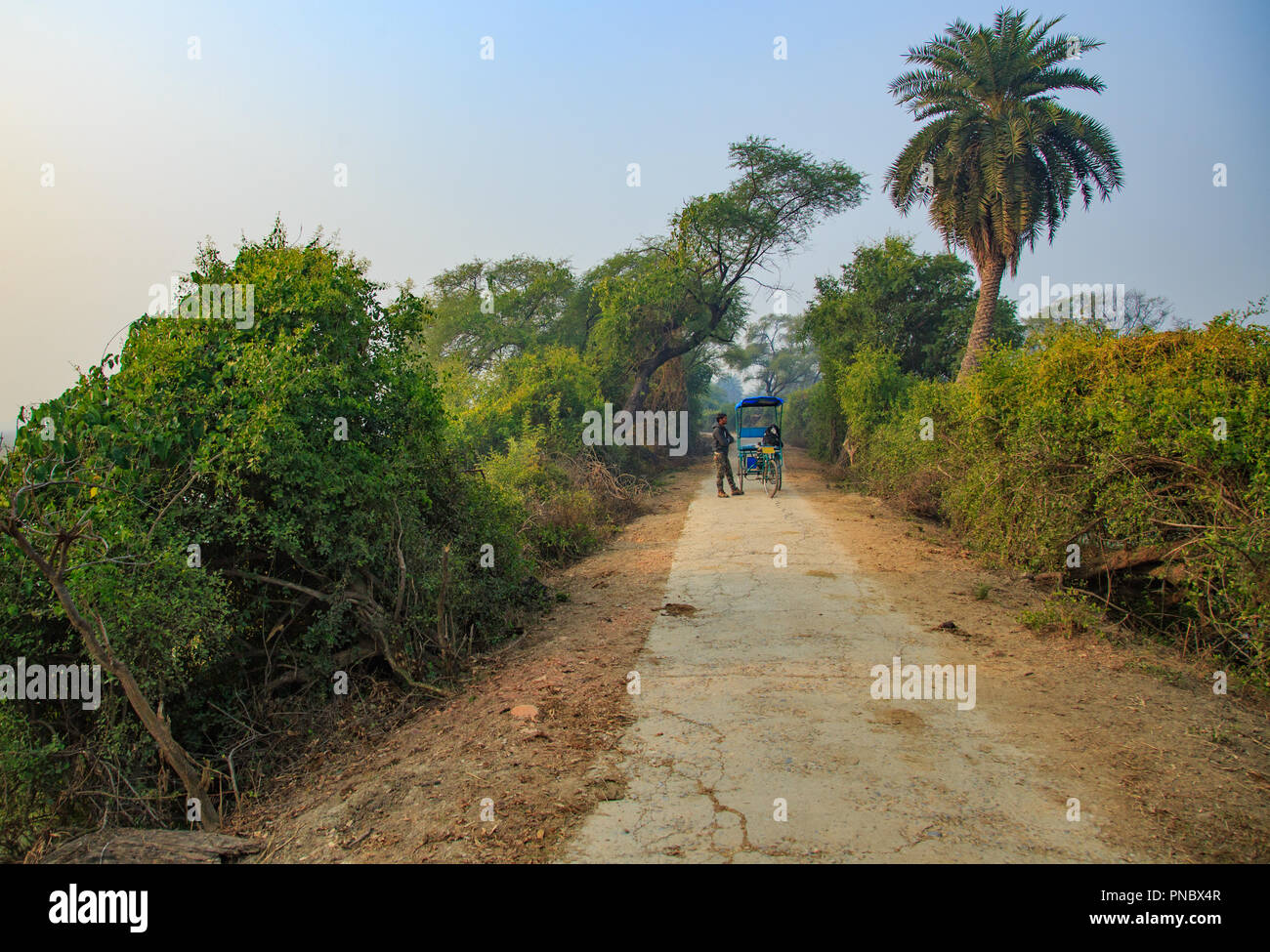 Bharatpur Bird Sanctuary (Rajasthan - India) Foto Stock