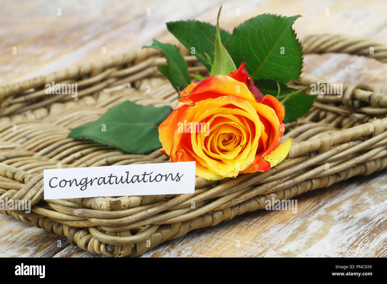 Congratulazioni card con arancione rosa coperta con glitter Foto Stock