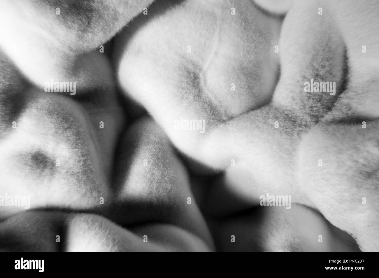 Gli stampi sono i funghi che possono essere trovati sia negli ambienti interni che esterni. Nessuno sa come molte specie di funghi esistenti ma le stime variano da decine di migliaia di t Foto Stock