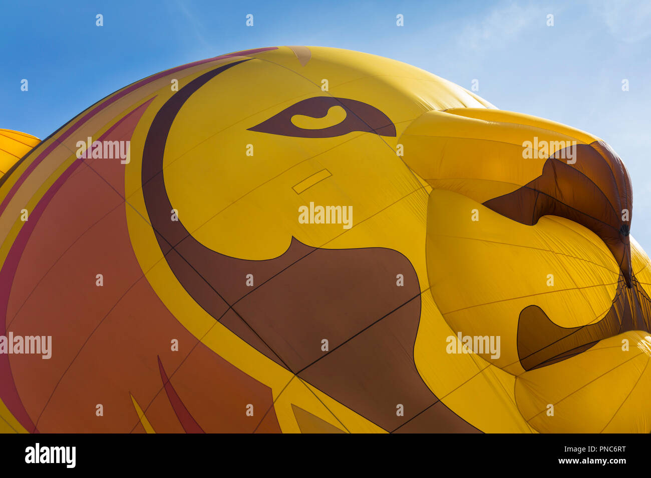 Longleat Symbaloo lion palloncino a Longleat Sky Safari, Wiltshire, Regno Unito nel mese di settembre Foto Stock