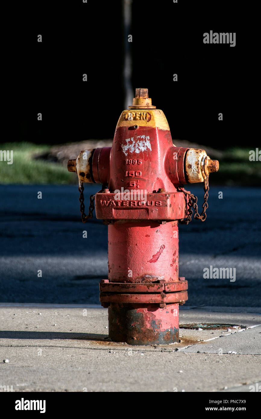 Rosso fuoco idrante a Evanston, IL. Foto Stock