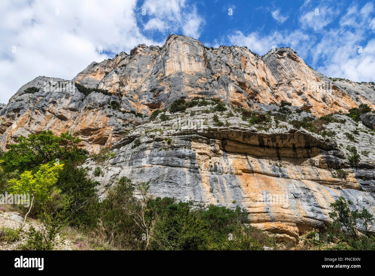 Verticale di roccia calcarea visto da Sentier Martel nelle Gorges du Verdon / Verdon Gorge canyon, Provence-Alpes-Côte d'Azur, in Francia Foto Stock