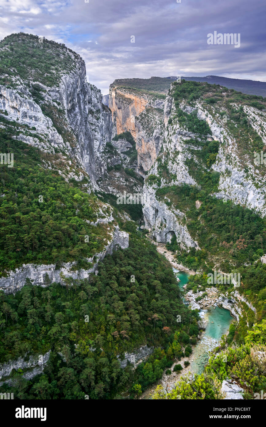 Fiume Verdon al punto sublime, inizio di Sentier Martel nelle Gorges du Verdon / Verdon Gorge canyon, Provence-Alpes-Côte d'Azur, in Francia Foto Stock