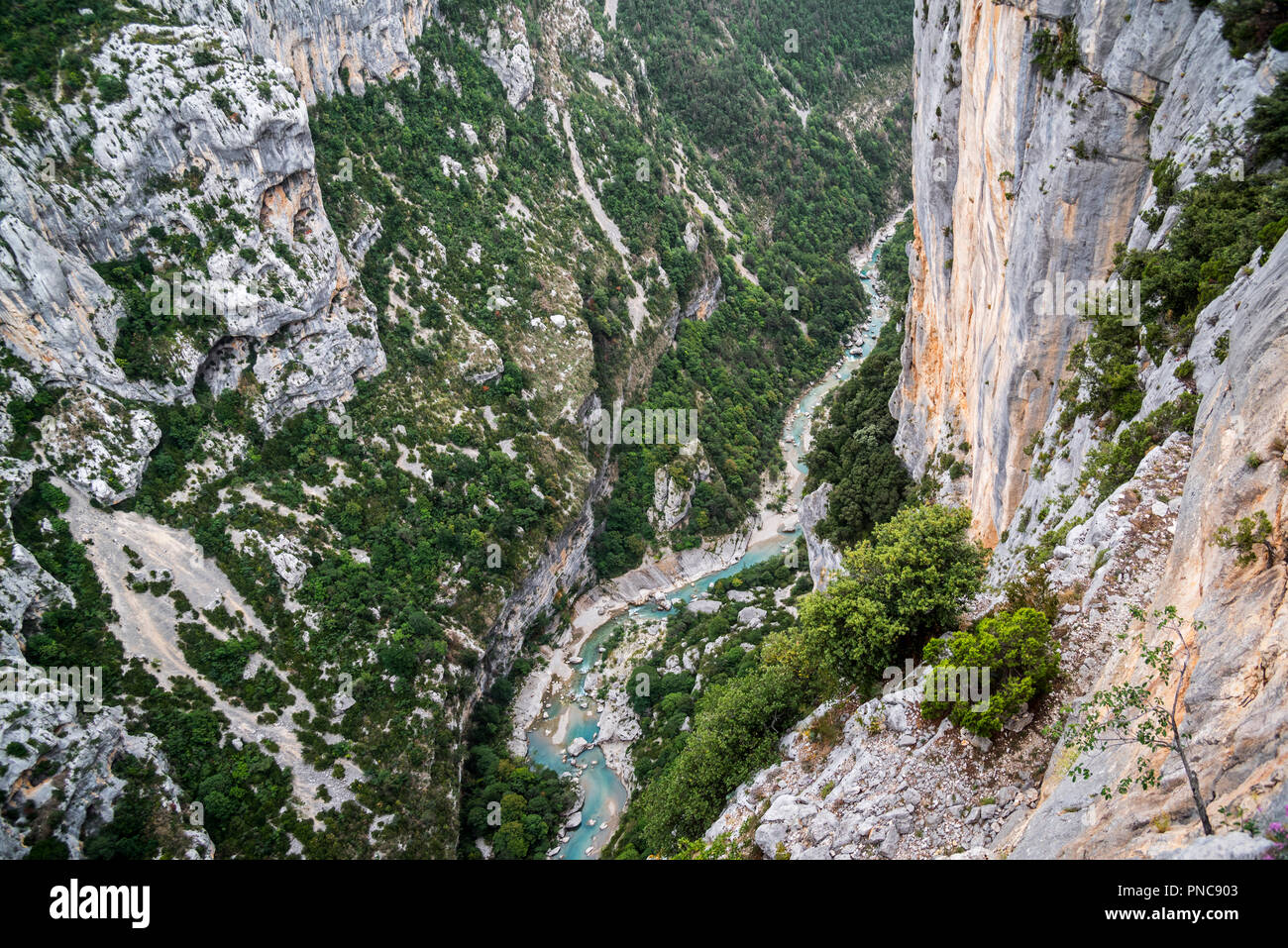 Vista in Gorges du Verdon / Verdon Gorge canyon dal belvedere lungo la Route des Crêtes, Alpes-de-Haute-Provence, Provence-Alpes-Côte d'Azur, F Foto Stock
