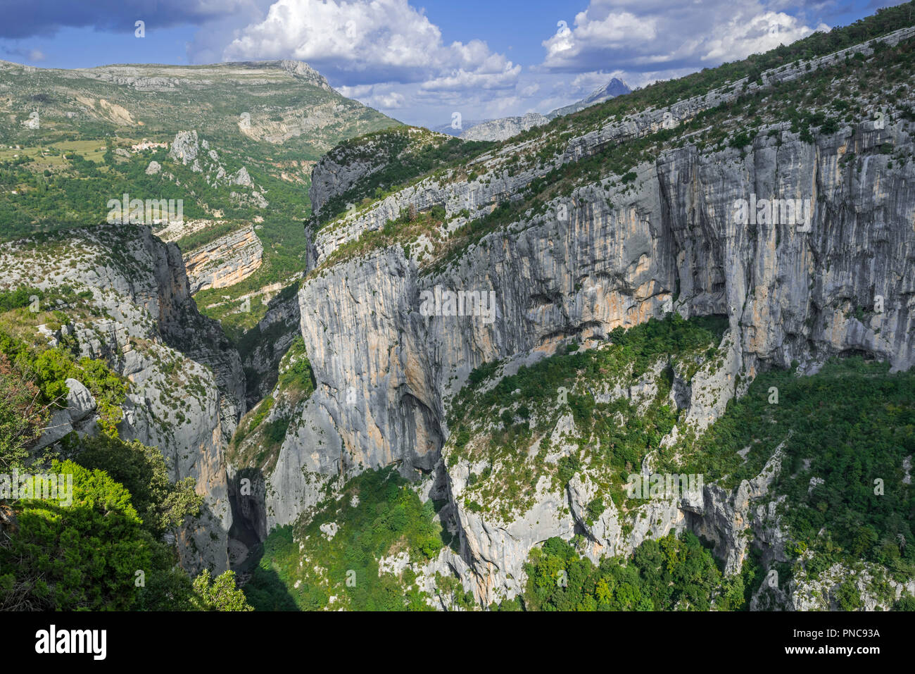 Gorges du Verdon / Verdon Gorge canyon, Alpes-de-Haute-Provence, Provence-Alpes-Côte d'Azur, in Francia Foto Stock