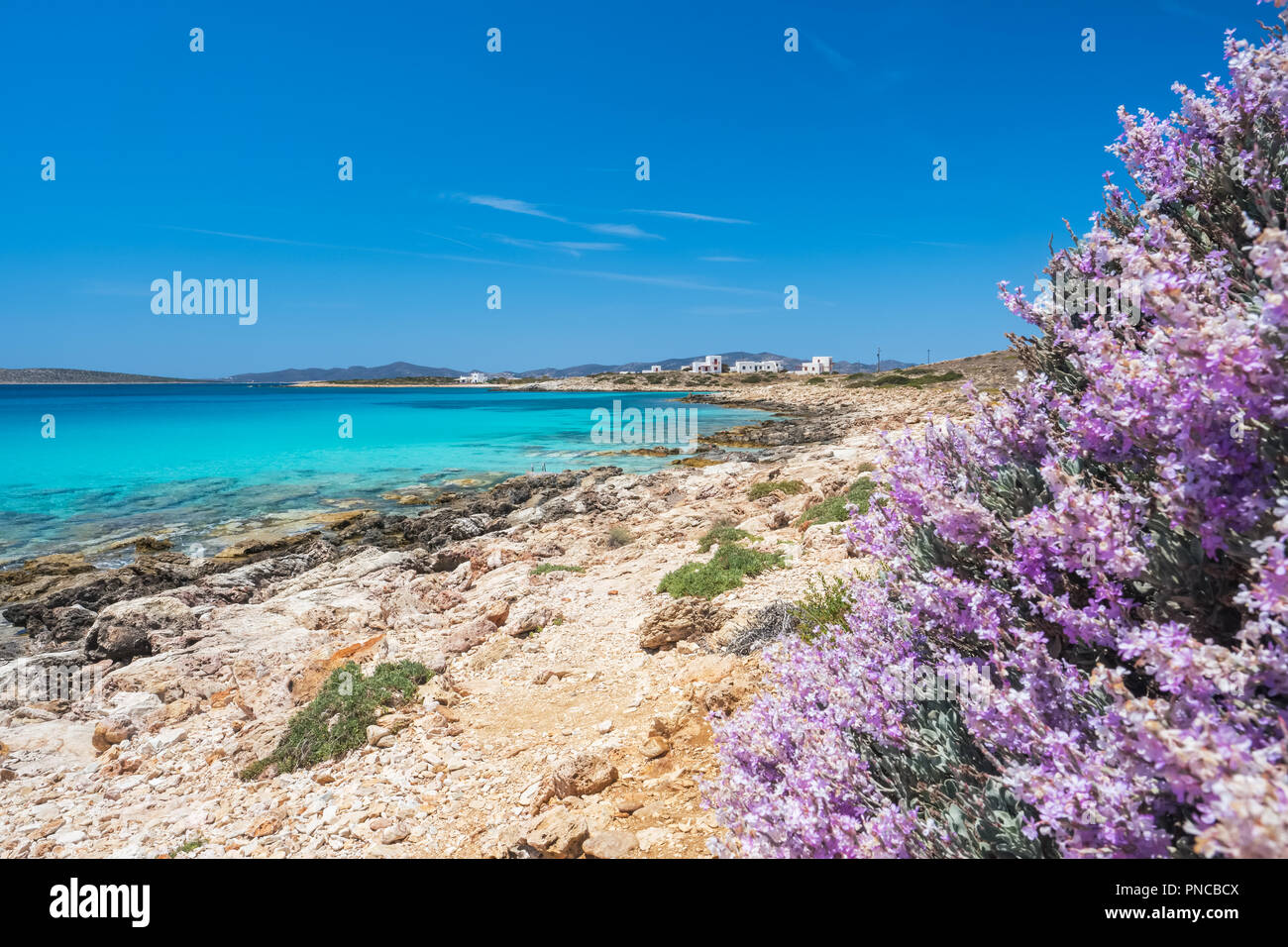 Spiaggia rocciosa con incredibile acqua tranquilla sull isola di Paros, Cicladi Grecia. Foto Stock