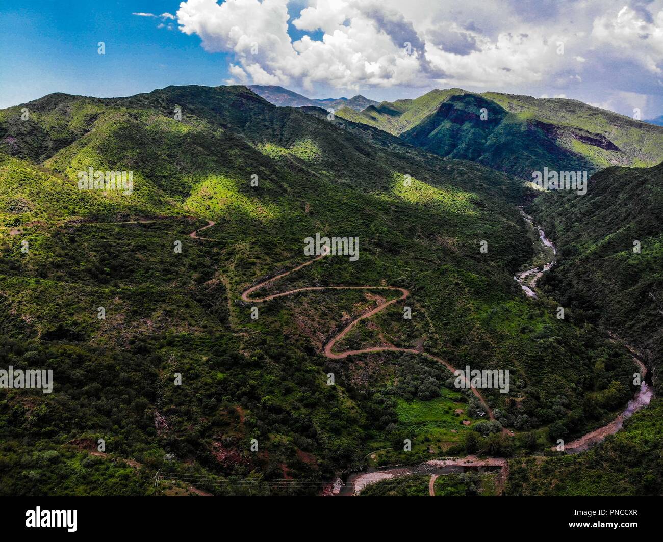 Vista aerea. Verde paisaje y arroyo en onu nublado dia, duranti Expedición scoperta Madrense en La Mesa Tres Rios, Sonora Messico. Sierra Madre Occiden Foto Stock