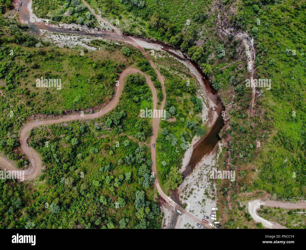 Vista aerea. Verde paisaje y arroyo en onu nublado dia, duranti Expedición scoperta Madrense en La Mesa Tres Rios, Sonora Messico. Sierra Madre Occiden Foto Stock