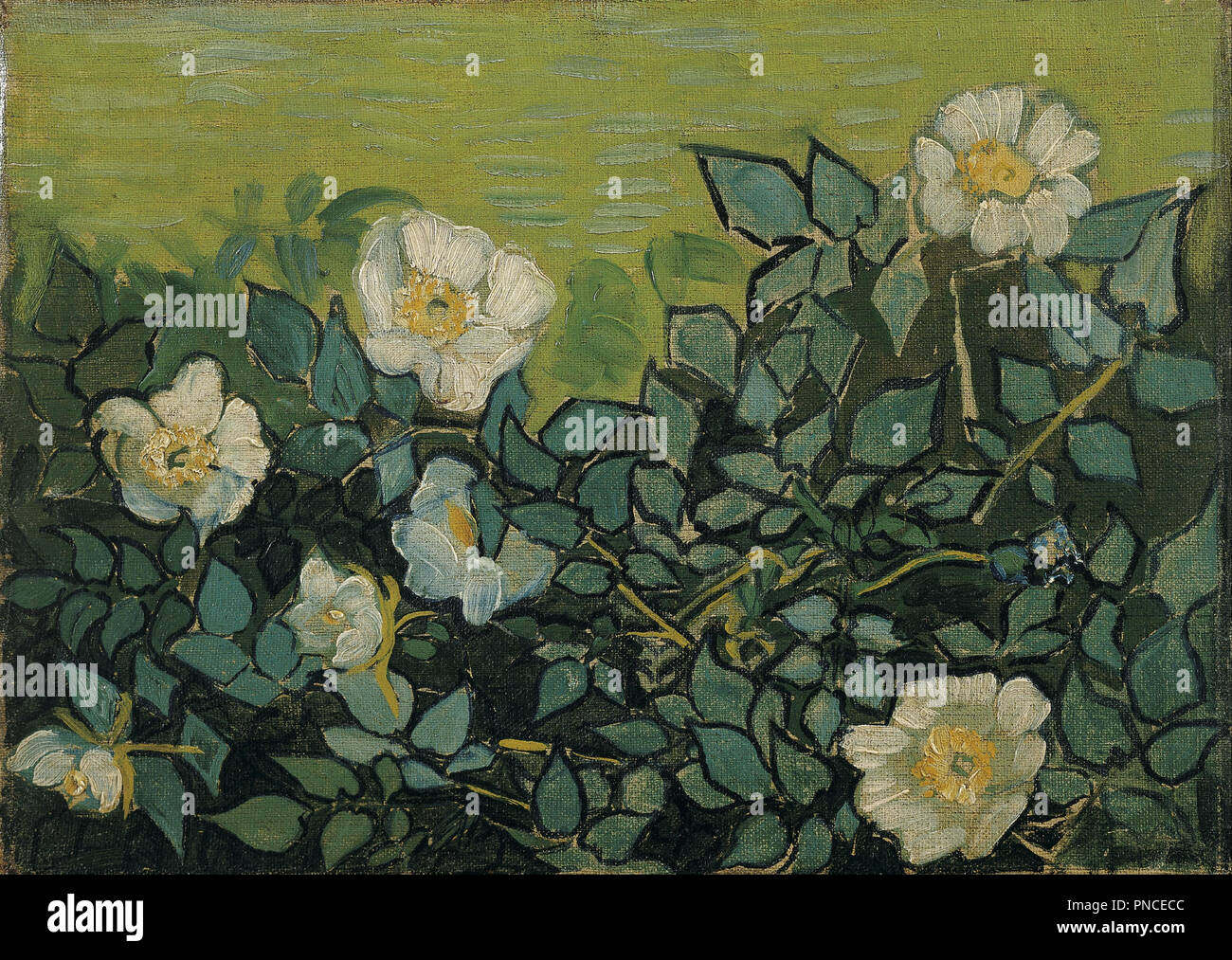Rose selvatiche. Data/Periodo: aprile 1890 - maggio 1890. La pittura. Olio su tela. Autore: Vincent van Gogh. VAN GOGH, VINCENT. Foto Stock