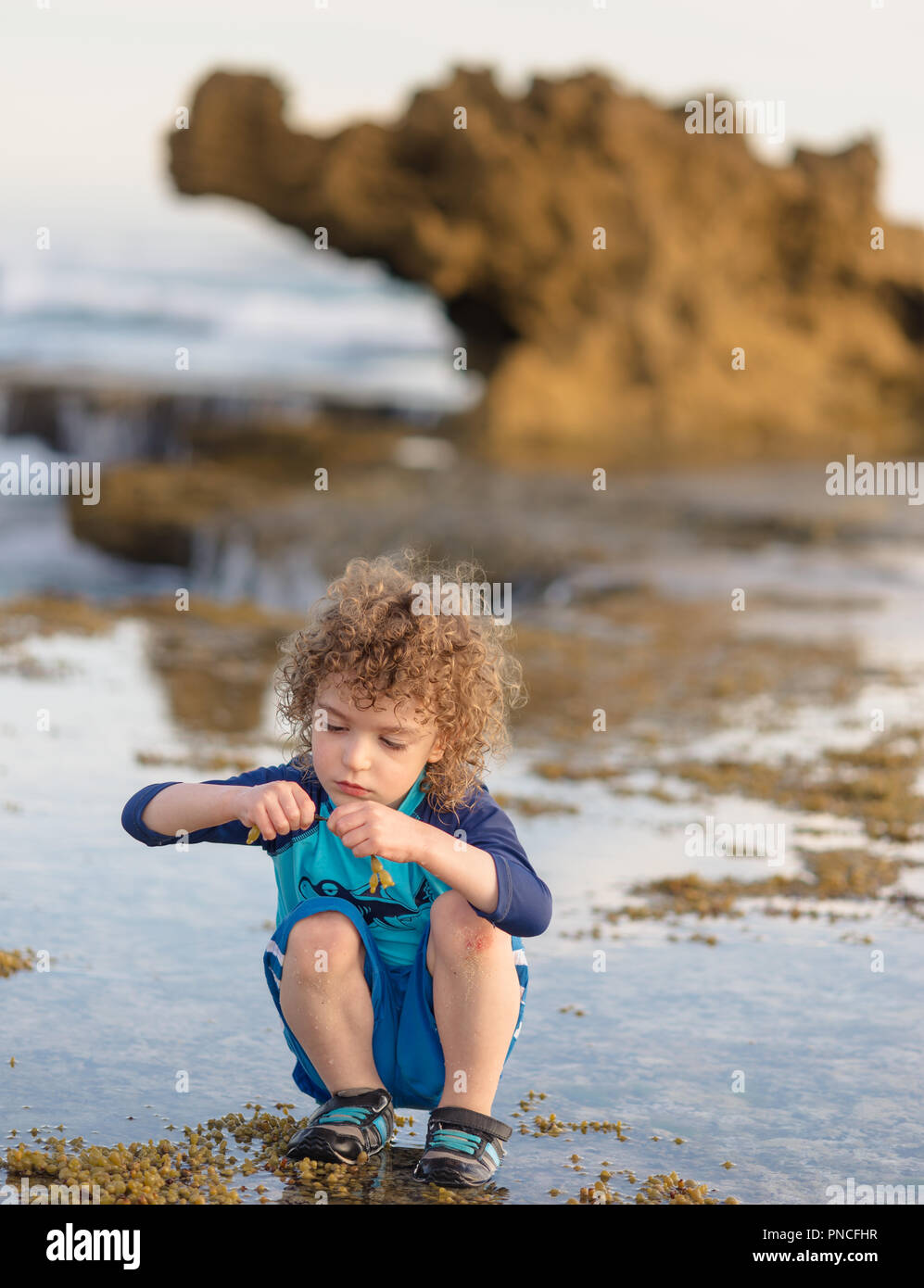 Ragazzo giocando con alghe marine in piscine di roccia in spiaggia Foto Stock