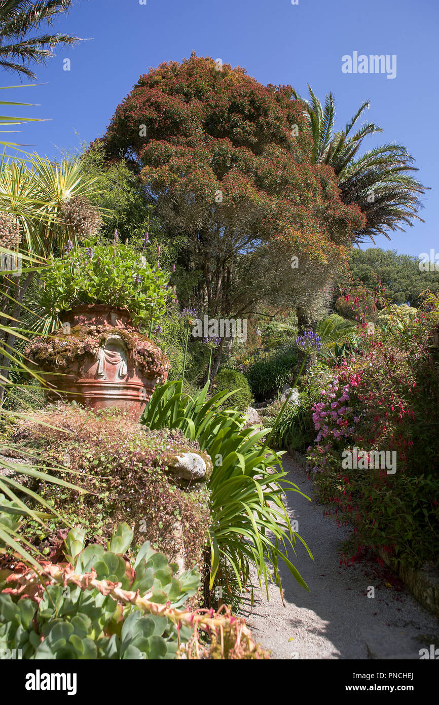 Terrazza centrale, Tresco Abbey giardino, isole Scilly, REGNO UNITO Foto Stock