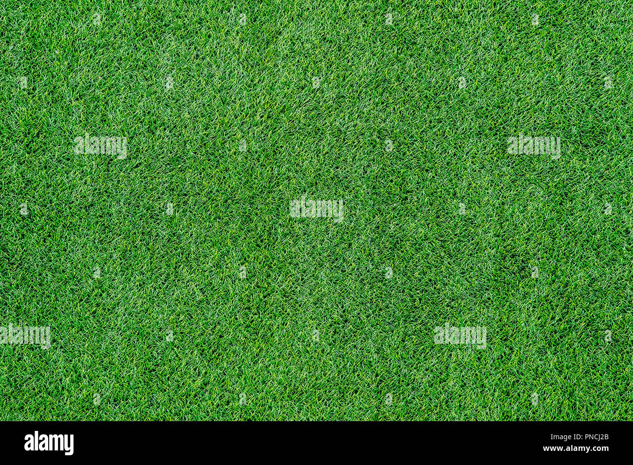 Texture di erba verde vista dall'alto del prato verde Foto Stock