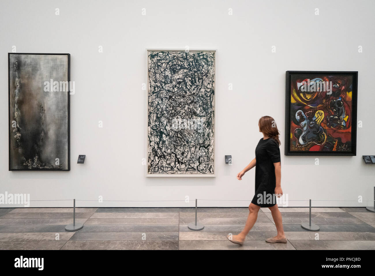 Interno del Louvre Abu Dhabi a Saadiyat isola il distretto culturale di Abu Dhabi, negli Emirati Arabi Uniti. Architetto Jean Nouvel Foto Stock